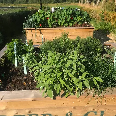 Glaedegarden -glaede Landhof- 12 Beds! *